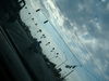 DSCF0681.JPG